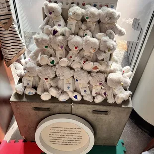 a display of teddy bears