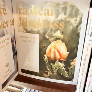 a book about radical kindness