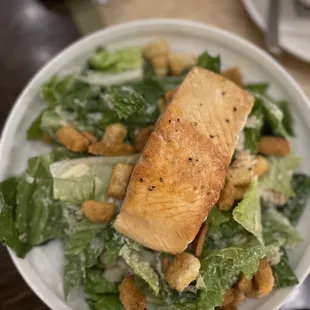 Salmon ceasar salad