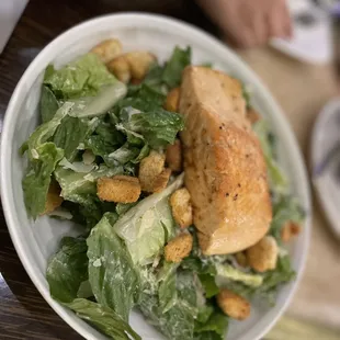 Salmon ceasar salad