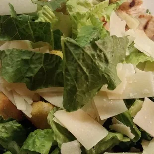 Chicken Caesar Salad