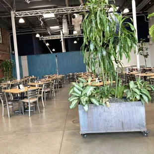 What you see upon entering the restaurant. The more open and airy side. There is another side that has a more dark, bar feel.