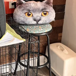 The Caffeinated Cat