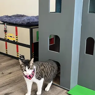 Flurken in his condo