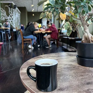 Single Origin:  Costa Rica