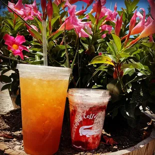 a drink and a beverage