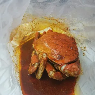 Dungeness Crab
