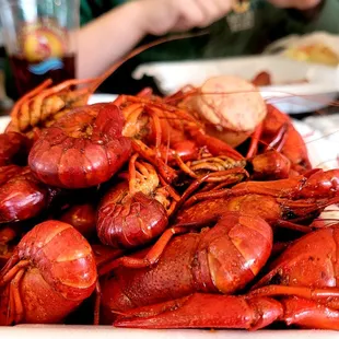 a plate of lobsters