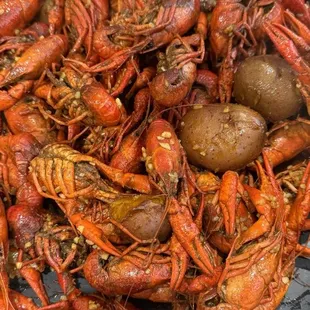 Crawfish