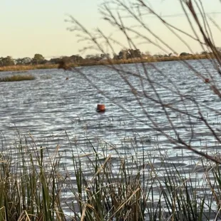 Beautiful day on the water