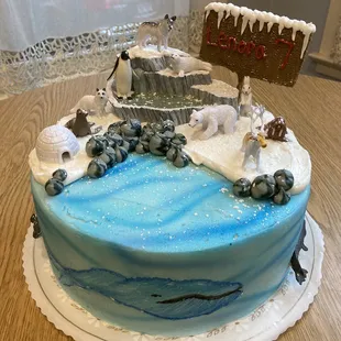 My niece's Arctic cake!