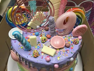 Outrageous Cakes Tampa Bakery