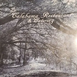 a black and white photo of a tree