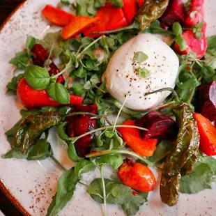 Roasted Baby Beets &amp; Burrata Salad  (Visit @seattle.grub for more food content)