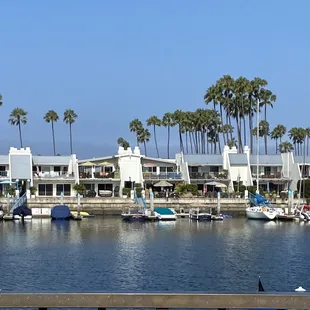 View from outside dining area