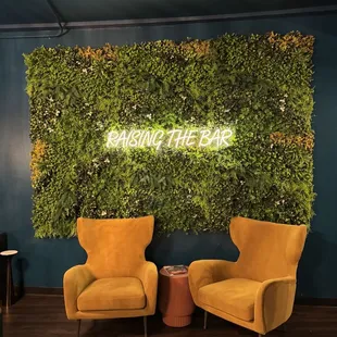 two chairs in front of a green wall