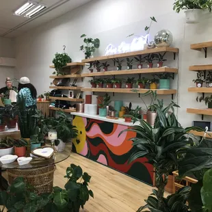 Inside the Candle Garden