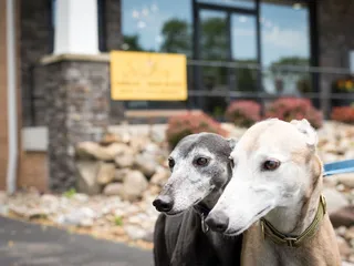 Sisters Scented Candles