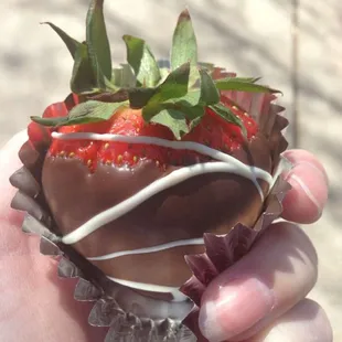 HUGE chocolate-covered strawberry