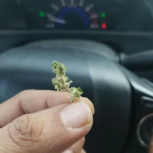 This what they weighed  up a whole bunch of them that ain't right that's 2 times that lady did me like this top shelf my ass