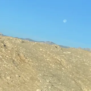 L d.