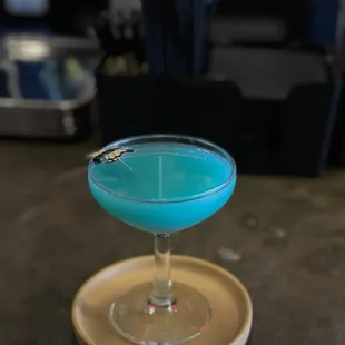 The Conservative Lady