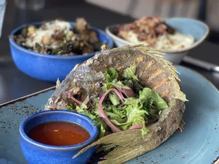 SHOR American Seafood Grill