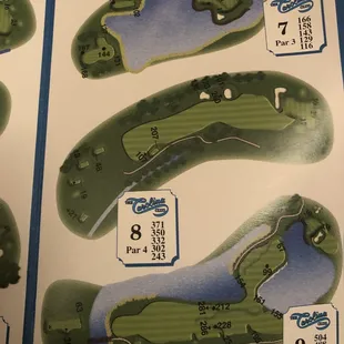 #7 will remind you of #17 at  Saw Grass. #9 is the Signature Hole, risk/reward onto the land bridge or over the water