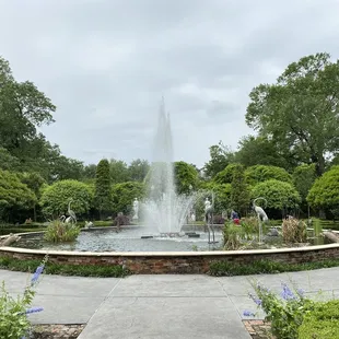 a fountain in a formal garden