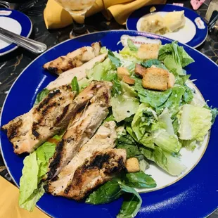 Grilled Chicken Caesar Salad
