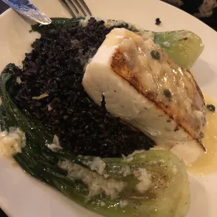 Halibut