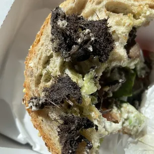 Roughage Sandwich with whatever was in the sandwich on top of it - looks like dirt clumps?