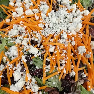 Fresh Salad