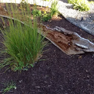Landscaping