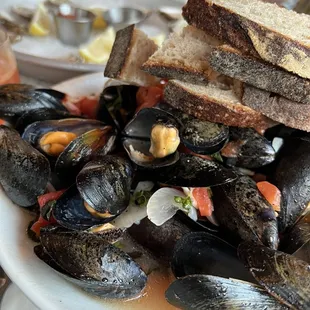 Mussels