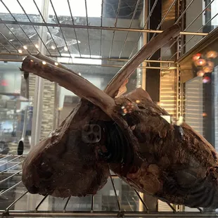 Tomahawk