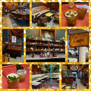 Montage of images from The Cat House