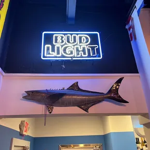  fish hanging from the ceiling