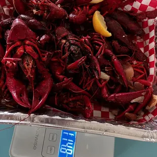 1.14 lbs (empty tray next photo, so total 1.10 lbs)