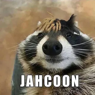 This me after eating at the catch