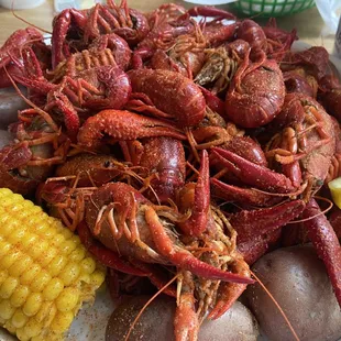 3lbs spicy Crawfish (Seasonal)