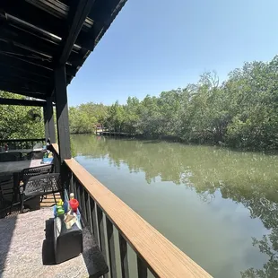 View from back patio