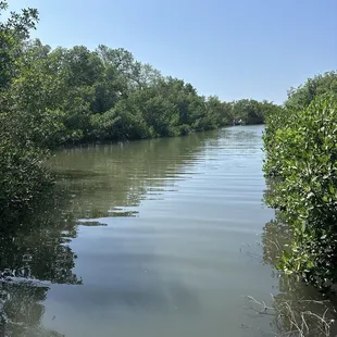 View from back patio