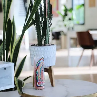 Our Latina founder's culture shines through in little details in the space