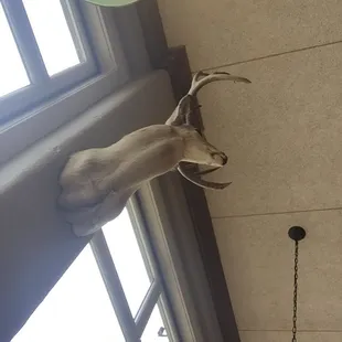 I love anyplace with big bucks in it!!