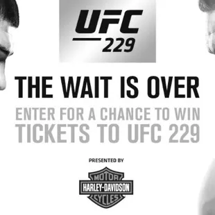 Ufc 229 watch it here