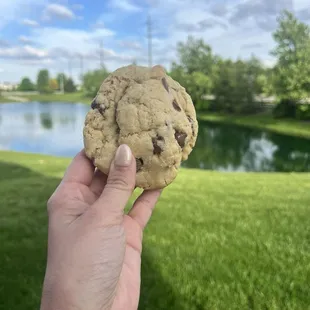Chocolate chip cookie