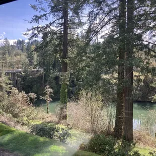 The view is beautiful