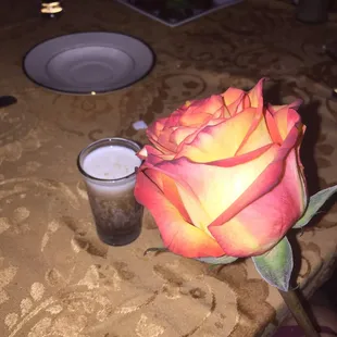 And the touch of the night, a rose