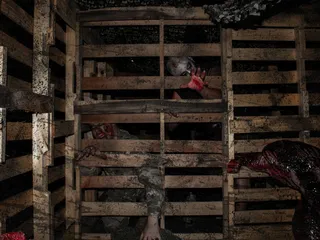 Nightmare at Dos Lagos